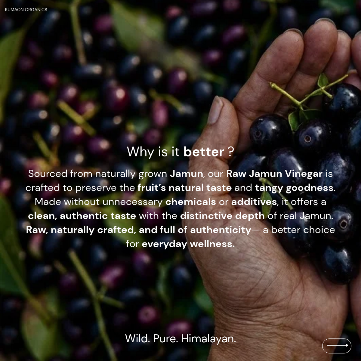 Raw Jamun Vinegar