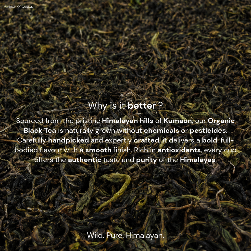 Organic Black Tea