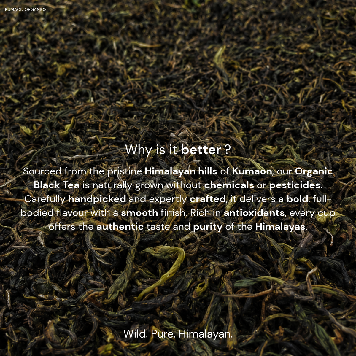 Organic Black Tea
