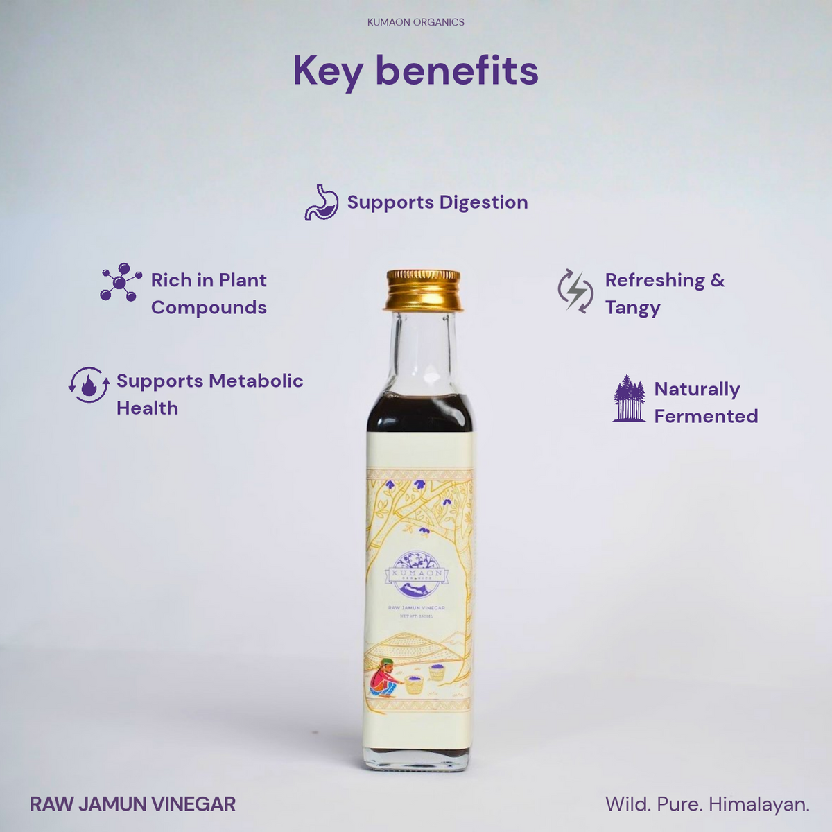 Raw Jamun Vinegar