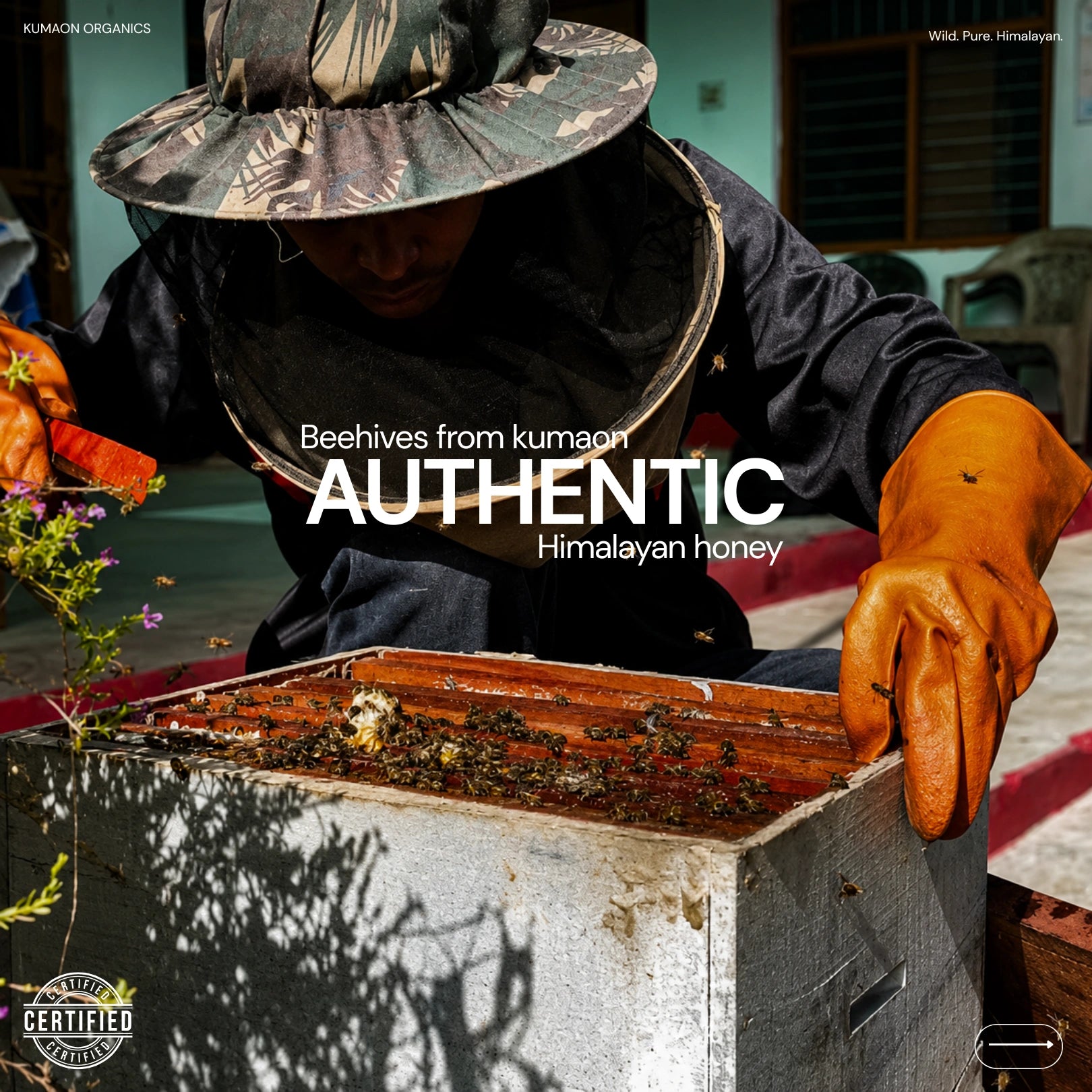 High Mountain Honey
