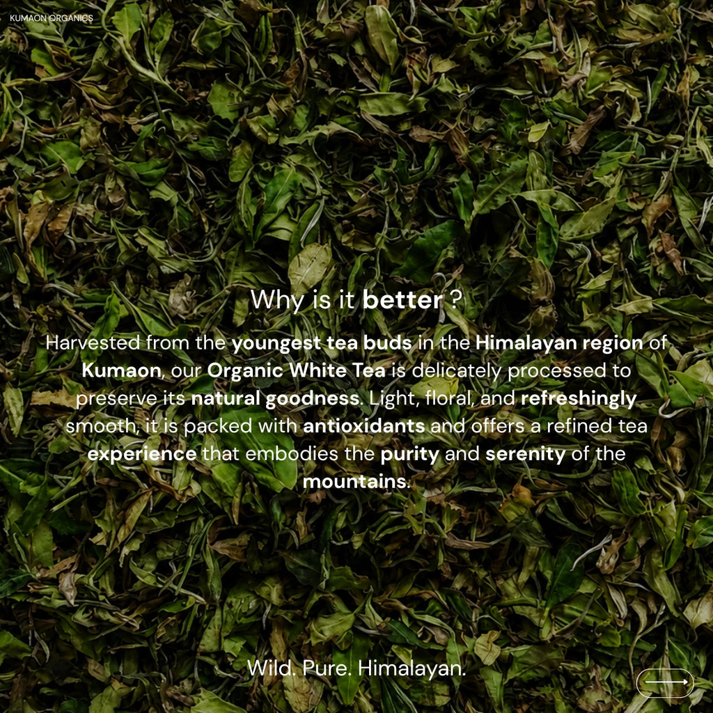 Organic White tea